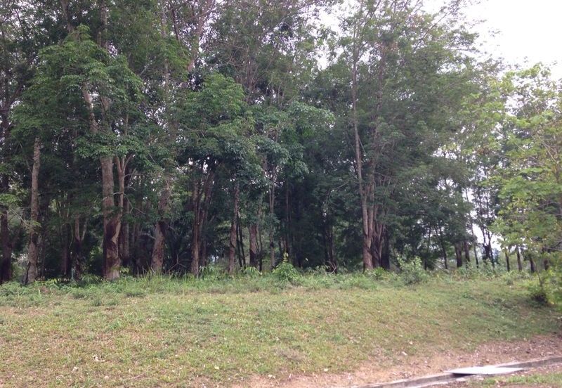 COLLEGE HEIGHTS GARDEN RESORT (PAJAM)