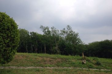 COLLEGE HEIGHTS GARDEN RESORT (PAJAM)