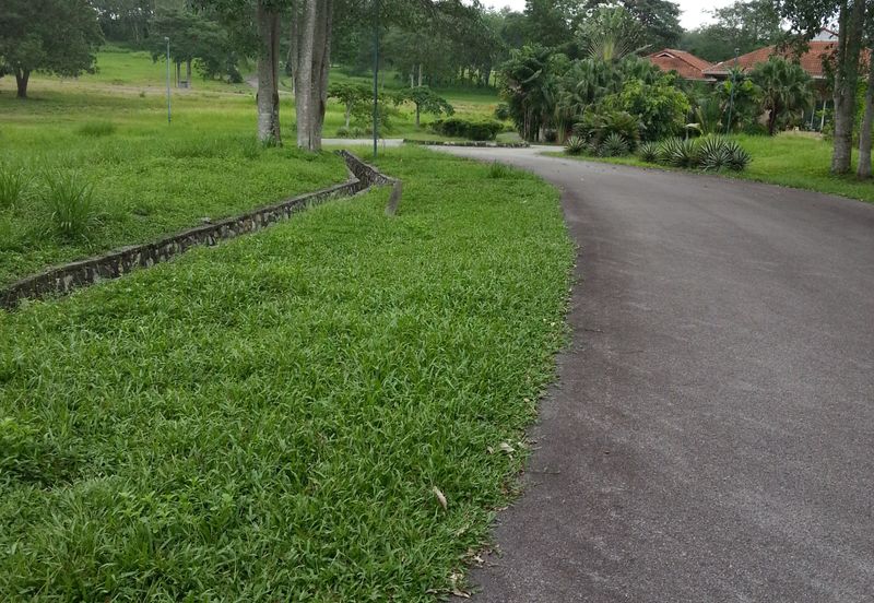 COLLEGE HEIGHTS GARDEN RESORT (PAJAM)