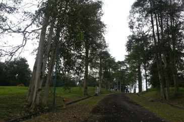 COLLEGE HEIGHTS GARDEN RESORT (PAJAM)