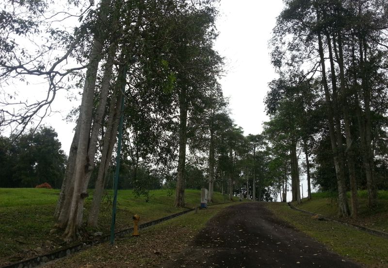 COLLEGE HEIGHTS GARDEN RESORT (PAJAM)