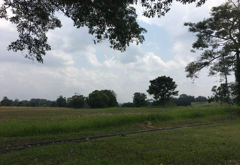 COLLEGE HEIGHTS GARDEN RESORT (PAJAM)