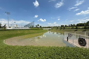 Whitten Eco Majestic