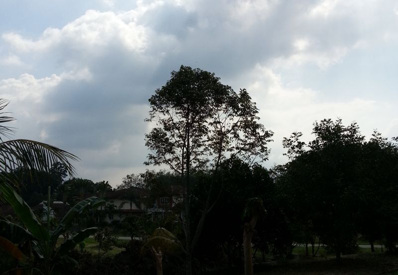 COLLEGE HEIGHTS GARDEN RESORT (PAJAM)