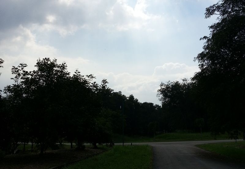 COLLEGE HEIGHTS GARDEN RESORT (PAJAM)