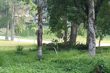 COLLEGE HEIGHTS GARDEN RESORT (PAJAM)