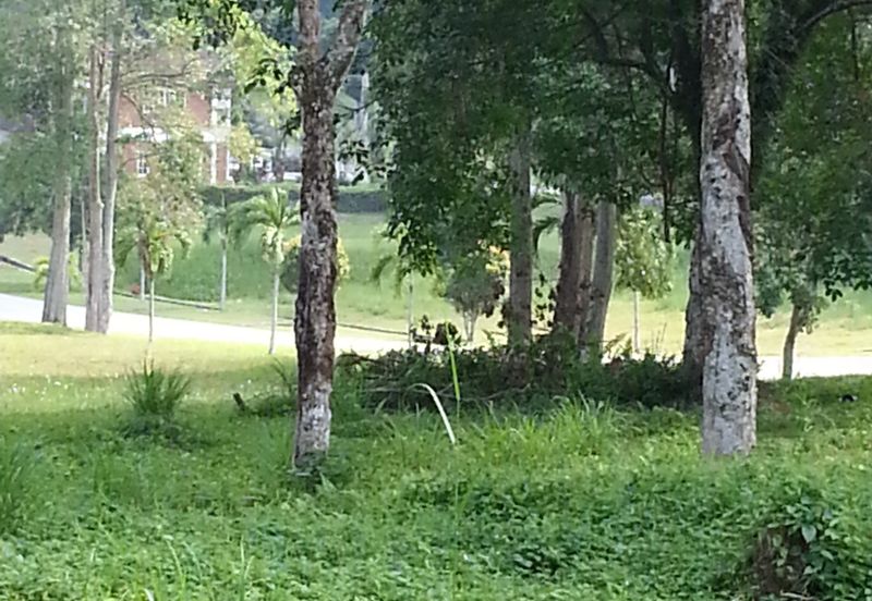 COLLEGE HEIGHTS GARDEN RESORT (PAJAM)