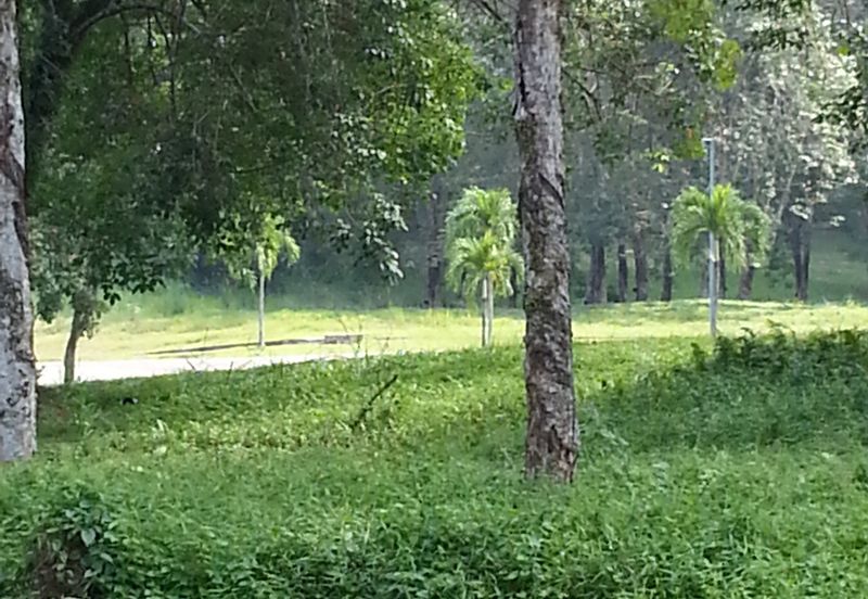 COLLEGE HEIGHTS GARDEN RESORT (PAJAM)