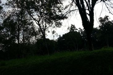 COLLEGE HEIGHTS GARDEN RESORT (PAJAM)