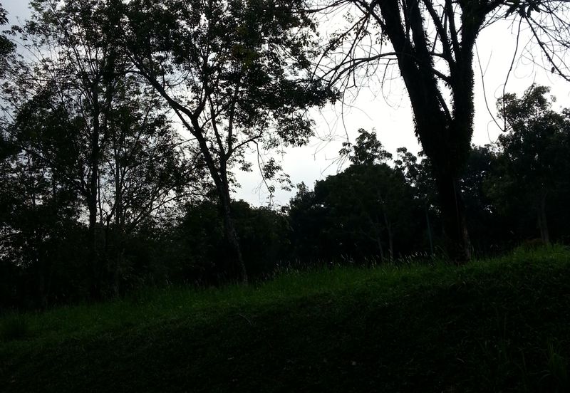 COLLEGE HEIGHTS GARDEN RESORT (PAJAM)