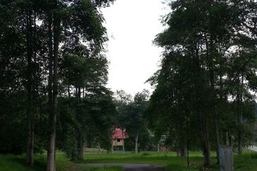 COLLEGE HEIGHTS GARDEN RESORT (PAJAM)