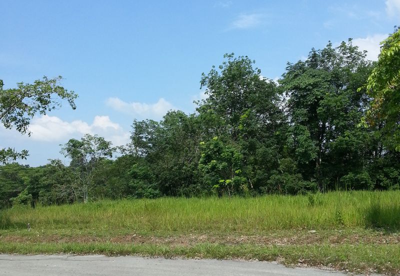 COLLEGE HEIGHTS GARDEN RESORT (PAJAM)