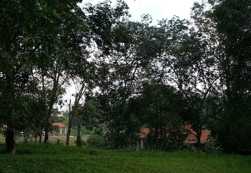 COLLEGE HEIGHTS GARDEN RESORT (PAJAM)