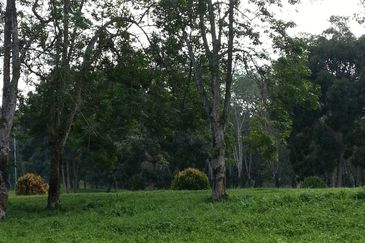 COLLEGE HEIGHTS GARDEN RESORT (PAJAM)