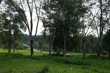 COLLEGE HEIGHTS GARDEN RESORT (PAJAM)