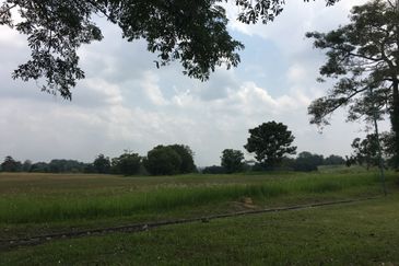 COLLEGE HEIGHTS GARDEN RESORT (PAJAM)