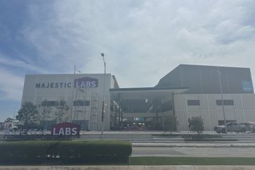 Whitten Eco Majestic