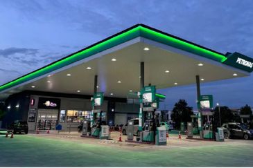 Whitten Eco Majestic