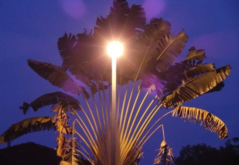 COLLEGE HEIGHTS GARDEN RESORT (PAJAM)