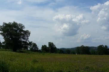 COLLEGE HEIGHTS GARDEN RESORT (PAJAM)