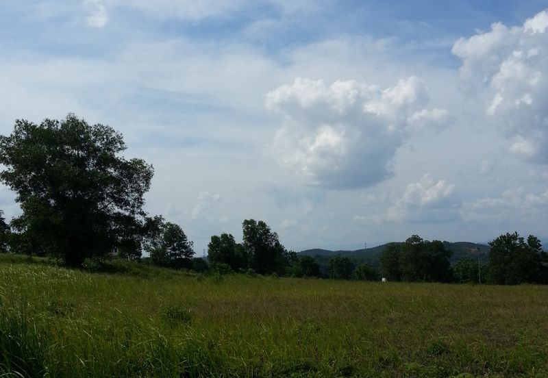 COLLEGE HEIGHTS GARDEN RESORT (PAJAM)