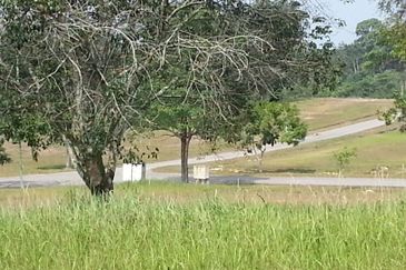 College Heights Garden Resort