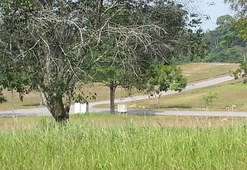 College Heights Garden Resort