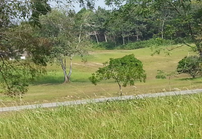 College Heights Garden Resort