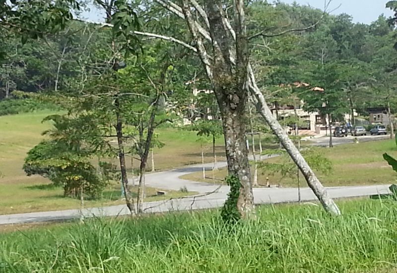 College Heights Garden Resort