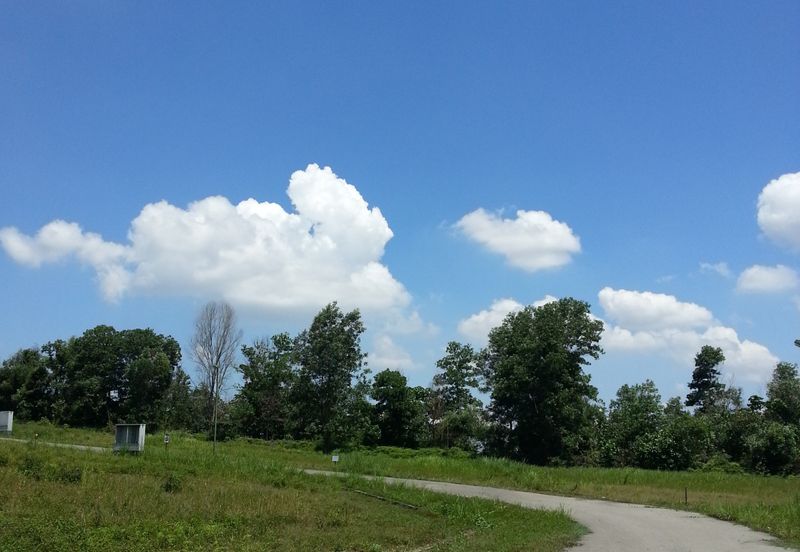 COLLEGE HEIGHTS GARDEN RESORT (PAJAM)