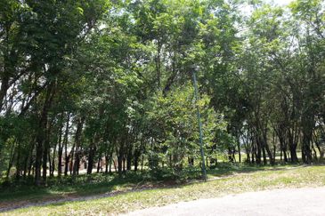 COLLEGE HEIGHTS GARDEN RESORT (PAJAM)