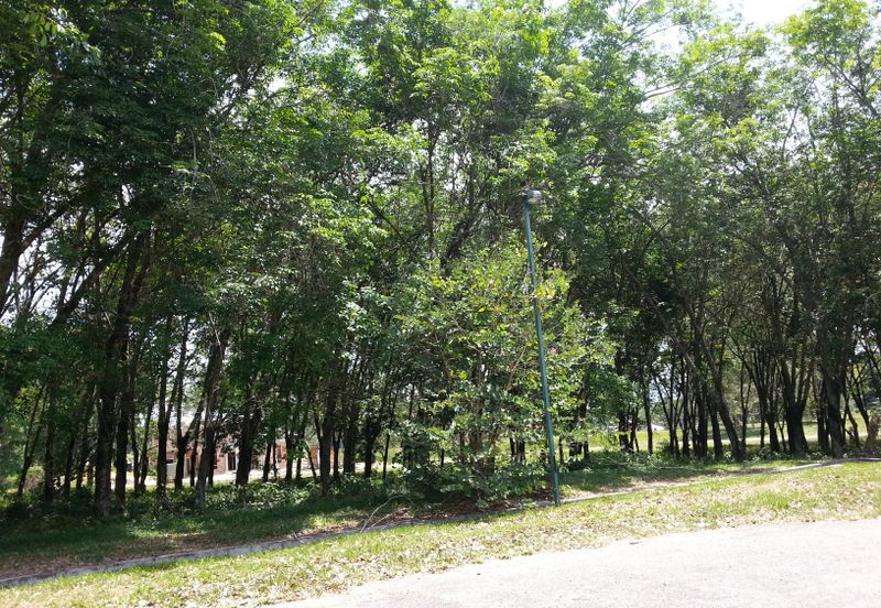 COLLEGE HEIGHTS GARDEN RESORT (PAJAM)