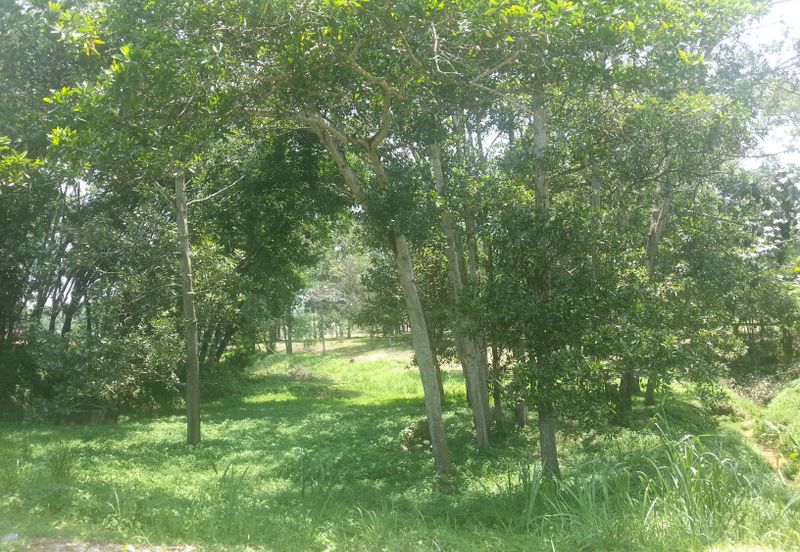 College Heights Garden Resort