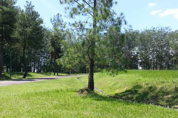 College Heights Garden Resort