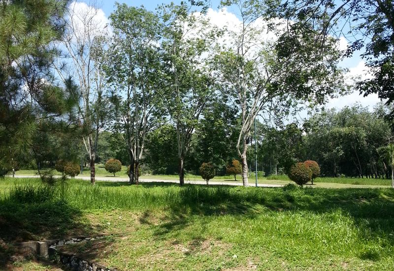 College Heights Garden Resort