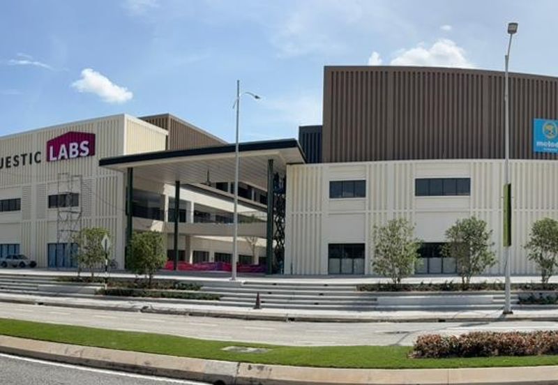 Whitten Eco Majestic