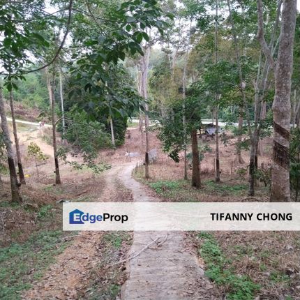 Rubber Plantation Agricultural Land Kampung Kerangai - Kuala Klawang Jelebu For Sale, Negeri Sembilan, Jelebu