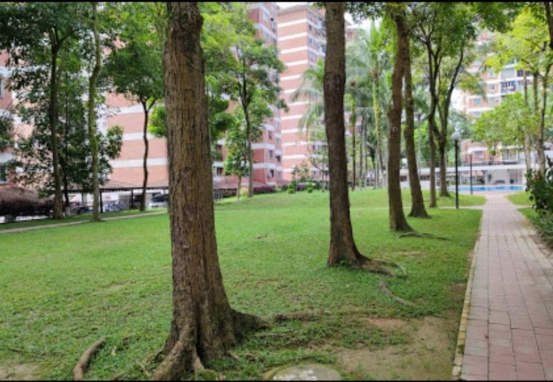 Reno Forest Green Condominium Partially Furnished Bandar Sungai Long For sale