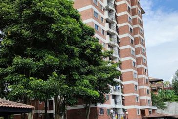 Reno Forest Green Condominium Partially Furnished Bandar Sungai Long For sale