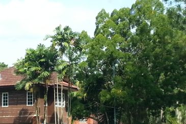 COLLEGE HEIGHTS GARDEN RESORT (PAJAM)