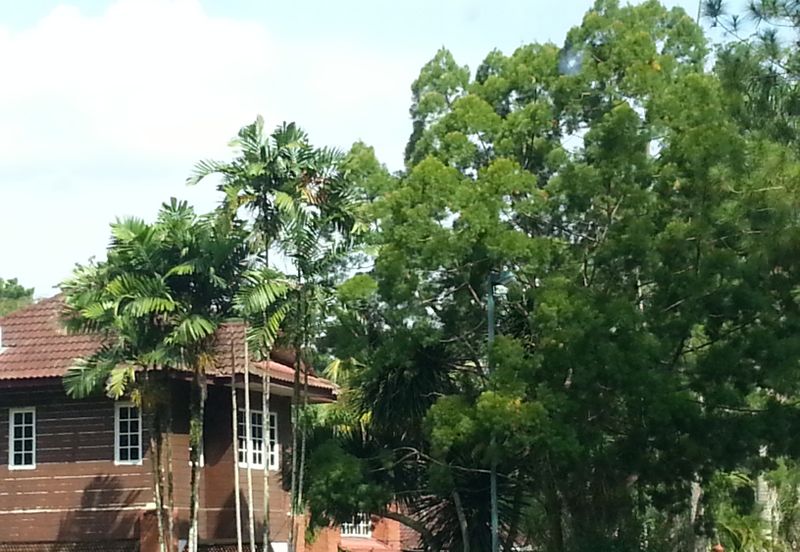 COLLEGE HEIGHTS GARDEN RESORT (PAJAM)