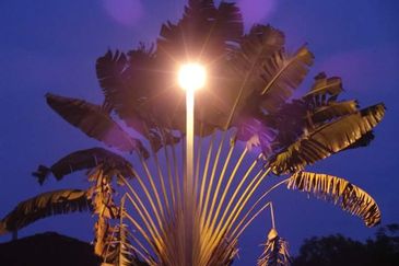 COLLEGE HEIGHTS GARDEN RESORT (PAJAM)