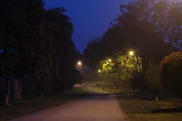 COLLEGE HEIGHTS GARDEN RESORT (PAJAM)