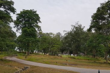 College Heights Garden Resort