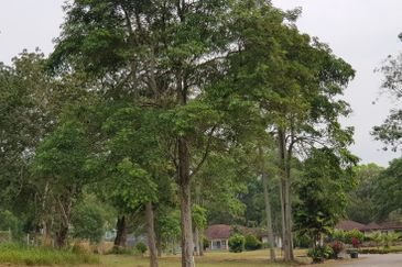 College Heights Garden Resort