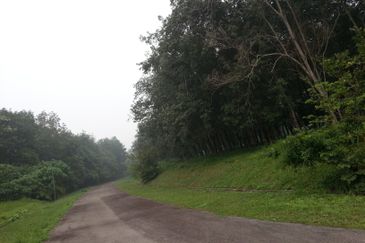 College Heights Garden Resort