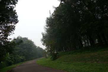 College Heights Garden Resort