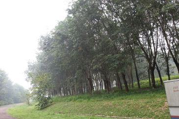 College Heights Garden Resort