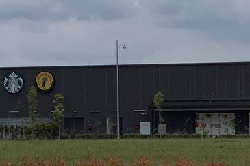 Whitten Eco Majestic