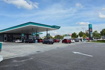 Whitten Eco Majestic